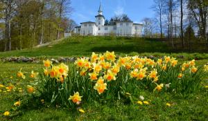 Villa Tårnborg - foto: Lokalhistorisk Arkiv