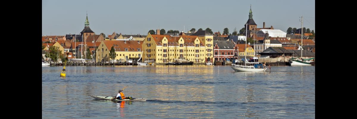 Svendborgs Havn Skyline