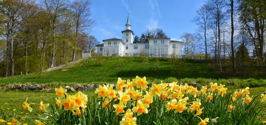 Villa Tårnborg - foto: Lokalhistorisk Arkiv